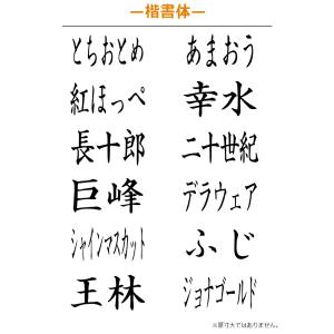 果物品種表示用スタンプ ゴム印 角型印(印面サ...の詳細画像2