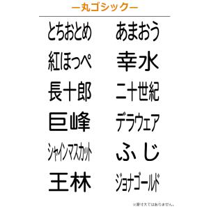 果物品種表示用スタンプ ゴム印 角型印(印面サ...の詳細画像3