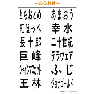 果物品種表示用スタンプ ゴム印 角型印(印面サ...の詳細画像5