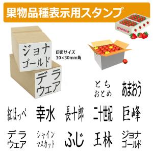 果物品種表示用スタンプ ゴム印 角型印(印面サイ...の商品画像