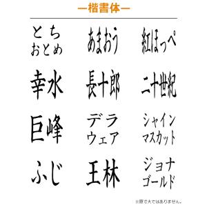 果物品種表示用スタンプ ゴム印 角型印(印面サ...の詳細画像2