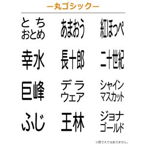 果物品種表示用スタンプ ゴム印 角型印(印面サ...の詳細画像3