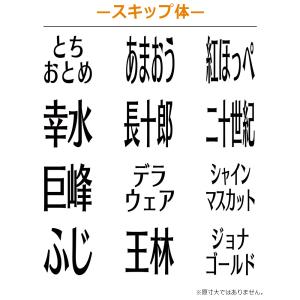 果物品種表示用スタンプ ゴム印 角型印(印面サ...の詳細画像4