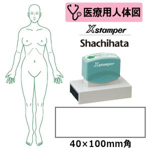 シヤチハタ 医療用人体図 全身（女性正面） Xスタンパー 角型印 40100号 ( 印面サイズ:40×100mm ) 医療・病院・看護師・ナース・整体師 はんこ スタンプ｜hanko-king