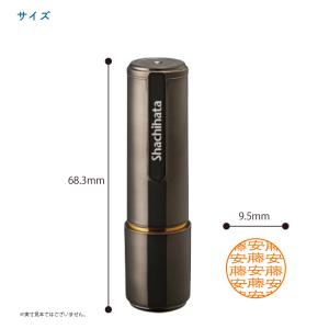 シヤチハタ ネーム印 Manyスタンプ ネーム9の詳細画像1