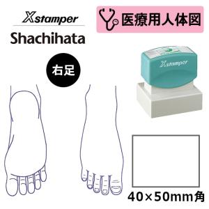 シヤチハタ 医療用人体図（右足） Xスタンパー 角型印 4050号 ( 印面サイズ:40×50mm )  医療・病院・看護師・ナース・整体師 はんこ スタンプ｜hanko-king