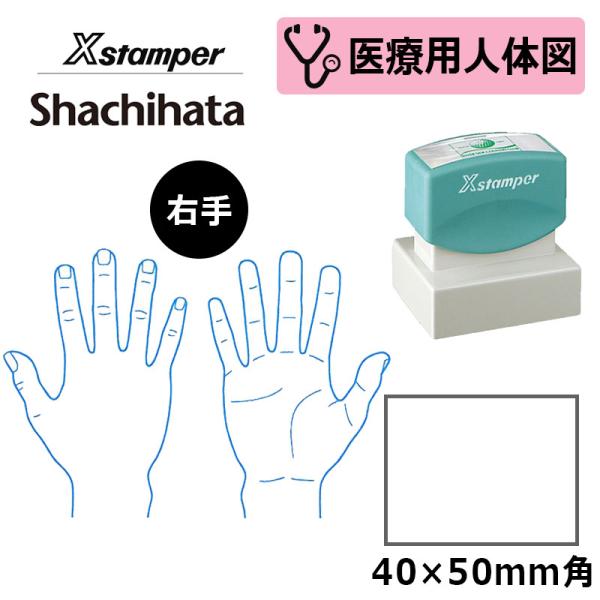 シヤチハタ 医療用人体図（右手） Xスタンパー 角型印 4050号 ( 印面サイズ:40×50mm ...