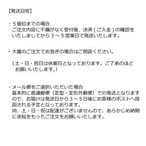 シャチハタ式 キャップレス ネーム印 別注 別...の詳細画像5