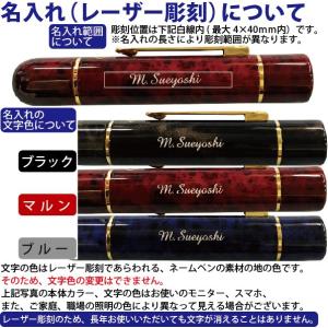 名入れ レヴィナツインGT ネーム印 訂正印 ...の詳細画像3