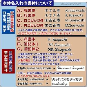 名入れ レヴィナツインGT ネーム印 訂正印 ...の詳細画像4
