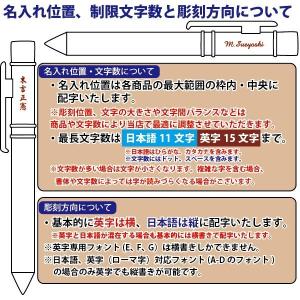 名入れ レヴィナツインGT ネーム印 訂正印 ...の詳細画像5