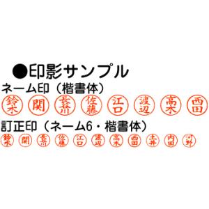 名入れ ネームエルツイン シャチハタ 訂正印 ...の詳細画像5