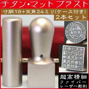 シヤチハタ（Shachihata） チケッター 速乾 パンチ付 スタンパー