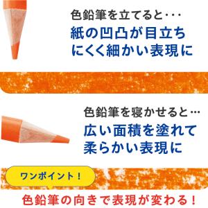 アートライン Artline 油性 色鉛筆 1...の詳細画像3