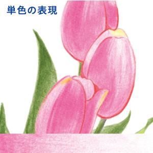 アートライン Artline 油性 色鉛筆 1...の詳細画像4