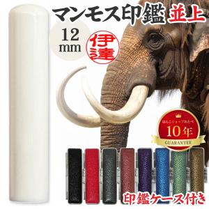 認印 マンモス 並上 印鑑ケース付 認め印 10.5mm 10.5ミリ ハンコ