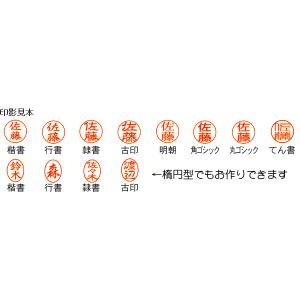 訂正印 シャチハタツインネーム印 ペアネーム ...の詳細画像3