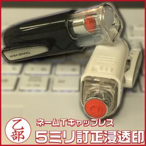 訂正印 キャップレス 訂正 タニエバー ネームT キャップレス 『送料無料』 印鑑 ハンコ スタンプ はんこ 名前印鑑 ネーム印