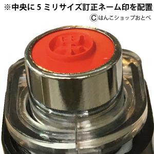 訂正印 キャップレス 訂正 タニエバー ネーム...の詳細画像3