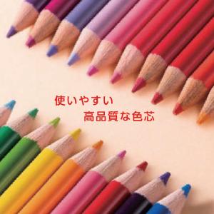トンボ 色鉛筆 12色 スケッチブックセット ...の詳細画像4