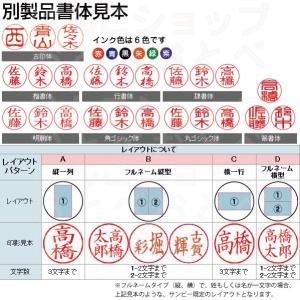 訂正印 サンビー クイック6 長柄 別製品 ロ...の詳細画像1