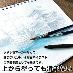サンスター文具 メタシル メタルペンシル me...の詳細画像3