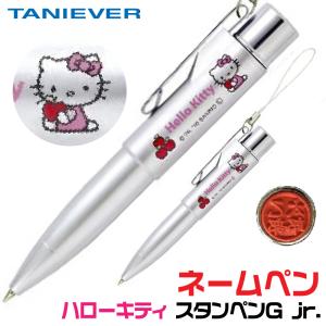 OMAS オマス 万年筆 パラゴン ワイルド シルバートリム 名入れ