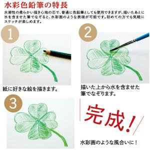 ファーバーカステル 水彩色鉛筆 100色セット...の詳細画像2