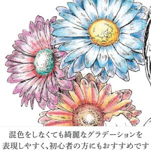 ファーバーカステル 水彩色鉛筆 100色セット...の詳細画像4