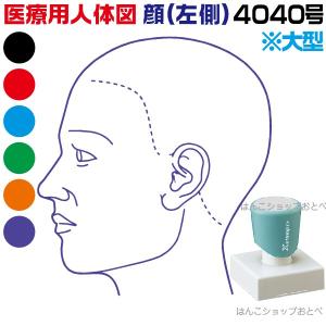 人体図 シャチハタ 医療用人体図 頭 左側 角型印 4040号 医療 スタンプ 『本州送料無料』 カルテ 病院 検査 はんこ 印鑑 ハンコ｜hanko-otobe