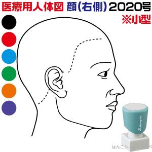 人体図 シャチハタ 医療用人体図 頭 右側 角型印 2020号 医療 スタンプ カルテ 病院 検査 はんこ 印鑑 ハンコ｜hanko-otobe