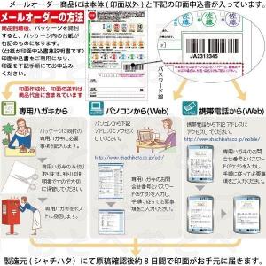印鑑 キャップレス9 スパークリングクリアカラ...の詳細画像1