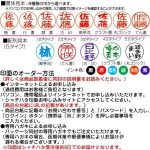 印鑑 キャップレス9 スパークリングクリアカラ...の詳細画像2