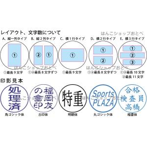 チケッター 速乾 パンチ付 シャチハタ (通常...の詳細画像1