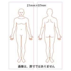 ハンコファクトリー 人体図 Yahoo ショッピング
