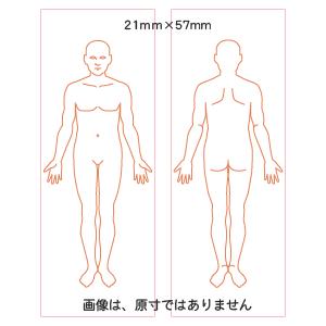 人体図　スタンプ　【学校　医学　病院　カルテ】 全身図 前・後向き お得セット スタンプ台不要