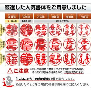 印鑑 はんこ 黒水牛印鑑ケース付2本セット13...の詳細画像1