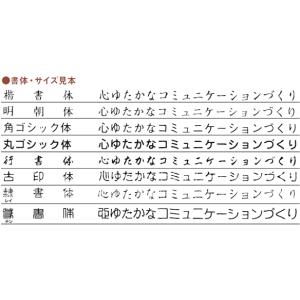 印鑑 はんこ ゴム印 風雅印(スキナスタンプ)...の詳細画像2