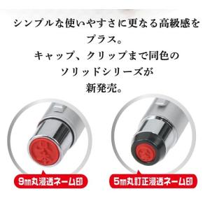 タニエバー ツインGTソリッド ネーム印+訂正...の詳細画像3