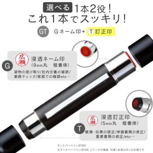 印鑑 はんこ タニエバー ツインGT GK ネ...の詳細画像2