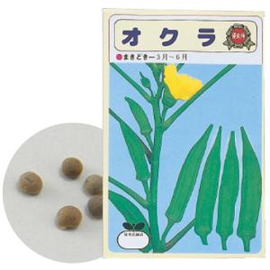 アーテック 野菜の種 オクラ artec 学校...の詳細画像1
