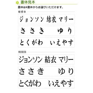 お名前スタンプ XLサイズ(印面サイズ:13×...の詳細画像3