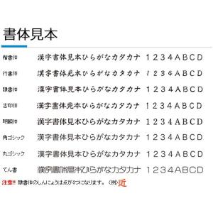シャチハタ ペアネーム 別注品(Aタイプ)(印...の詳細画像4