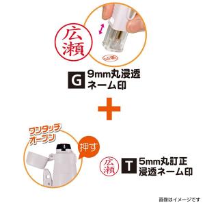 タニエバー ネーム印(既製品) ツインGTキャ...の詳細画像2