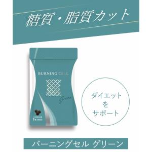 HUTEMCELL (ヒューテムセル) 幹細胞クリーム (ヒト幹細胞7％ / 100ml