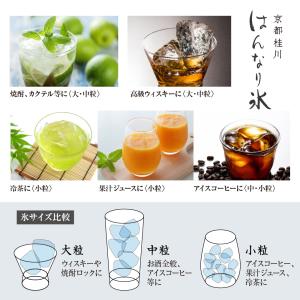 京都桂川はんなり氷 小粒 24kg(4kg×6...の詳細画像4