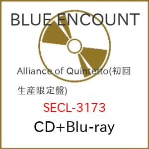 CD/BLUE ENCOUNT/Alliance of Quintetto (CD+Blu-ray)...