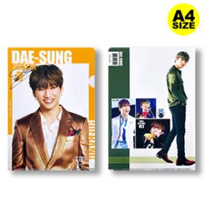 【送料無料・速達】 DAESUNG (D-LITE) BIGBANG (ビッグバン) クリア フォルダー / ファイル (Clear Folder / File) [A4 SIZE] グッズ｜hanryubank