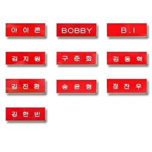 【送料無料・速達】 iKON (アイコン) グッズ - ハングル ネームプレート (Name Pla...