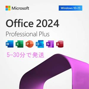 Microsoft Office 2024 Pr...の商品画像